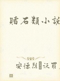 赌石类小说封面