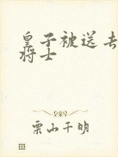 皇子被送去犒劳将士