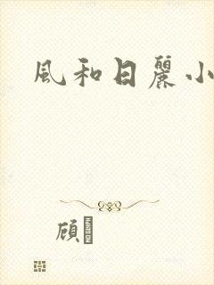 风和日丽小说