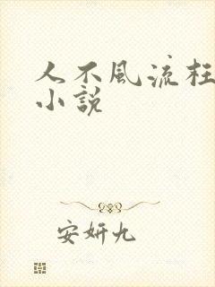 人不风流枉少年小说