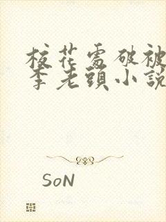 校花处破被灌满李老头小说封面