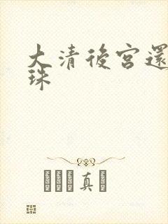 大清后宫还君明珠