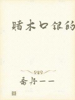 赌木口银的小说封面