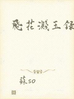 飞花溅玉录封面