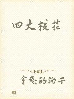 四大校花封面