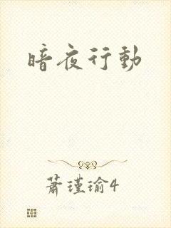 暗夜行动