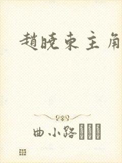 赵晓东主角小说