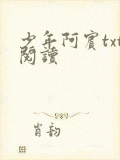 少年阿宾txt阅读