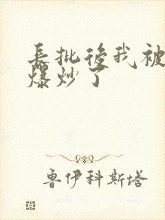 长批后我被宿敌爆炒了