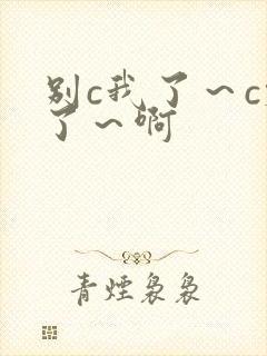 别c我了～c烂了～啊封面