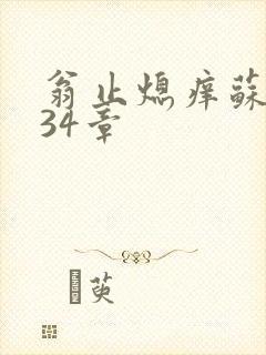 翁止熄痒苏钥第34章封面