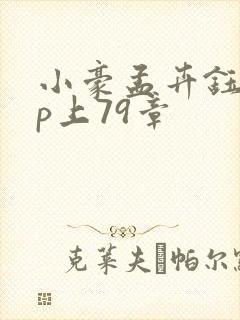 小豪孟卉钰慧三p上79章封面