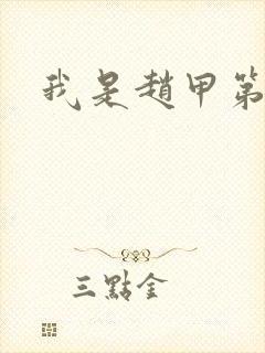 我是赵甲第小说封面