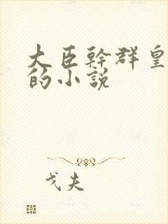 大臣干群皇太后的小说