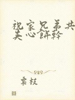 祝家兄弟共享后夹心饼干