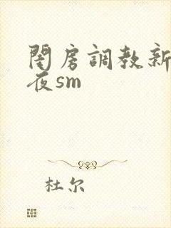 闺房调教新婚之夜sm封面