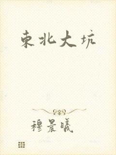 东北大坑封面