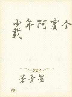 少年阿宾全集下载