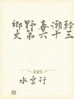 乡野春潮干柴烈火第六十三章