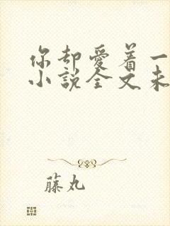 你却爱着一个他小说全文未删减免费