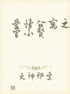 爱情公寓之极品曾小贤