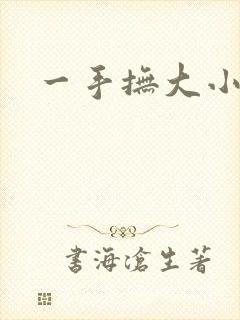 一手抚大小说