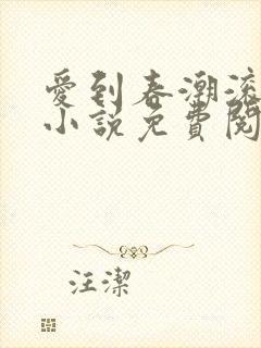 爱到春潮滚滚来小说免费阅读