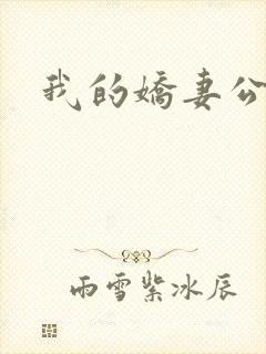 我的娇妻公务员封面