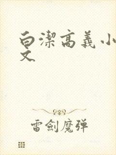 白洁高义小说全文