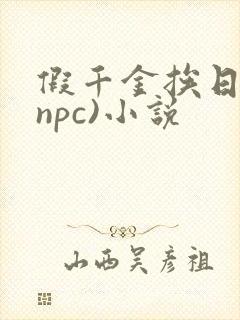 假千金挨日记(npc)小说