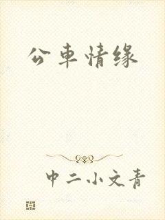 公车情缘
