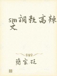 sm调教高辣h文