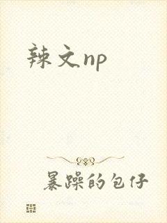 辣文np封面