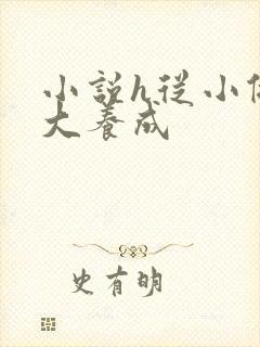 小说h从小做到大养成