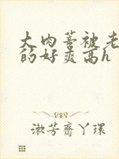 大肉蒂被老头嘬的好爽高h