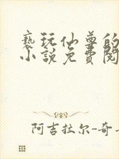 亵玩仙尊的道侣小说免费阅读