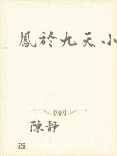 凤于九天小说