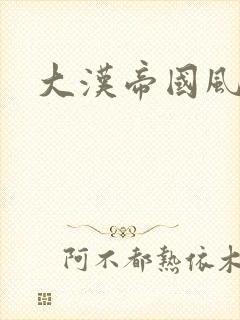 大汉帝国风云录封面