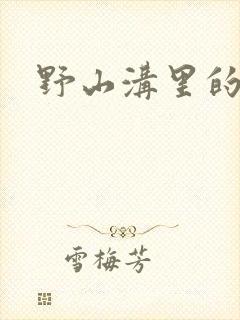 野山沟里的村庄封面