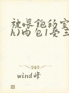 被喂饱的室友(h)肉包1受三攻封面