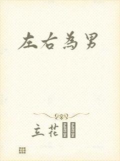 左右为男封面