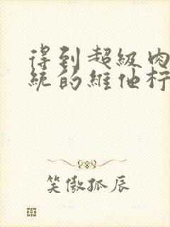 得到超级肉禽系统的维他柠檬茶