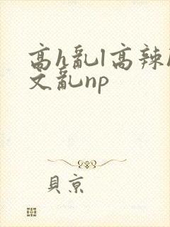 高h乱l高辣h文乱np