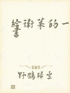 给卫莱的一封情书