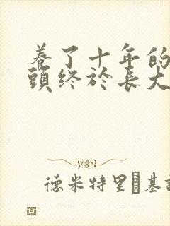 养了十年的小丫头终于长大了