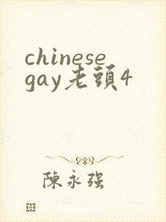 chinesegay老头4