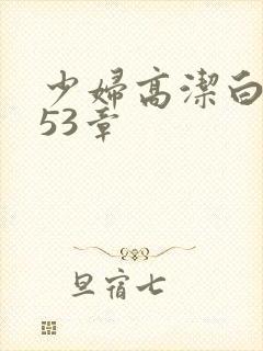 少妇高洁白义第53章封面