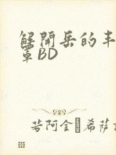 解开岳的丰满奶罩BD