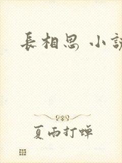 长相思 小说封面