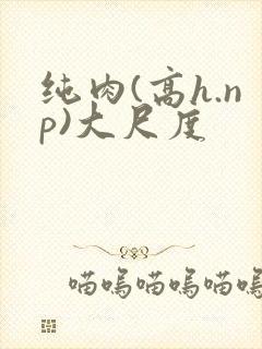 纯肉(高h.np)大尺度封面